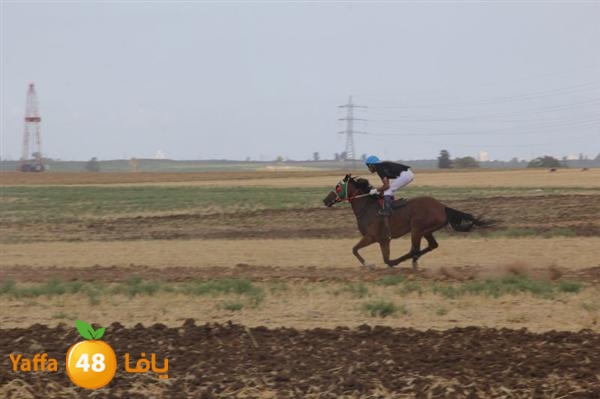 khoyoul lud 0610 (33).JPG